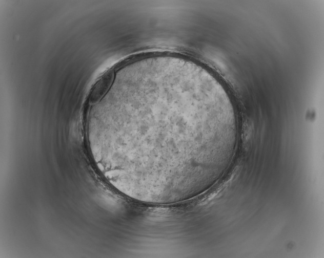 X0000094451172200711291652