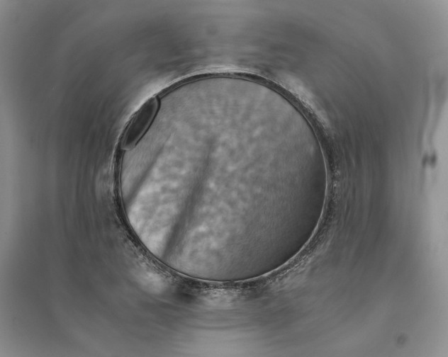 X0000094451173200711291652