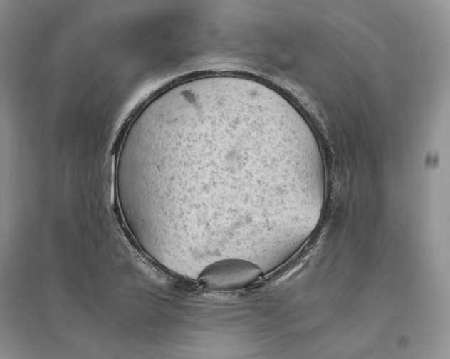 X0000094451175200711291652