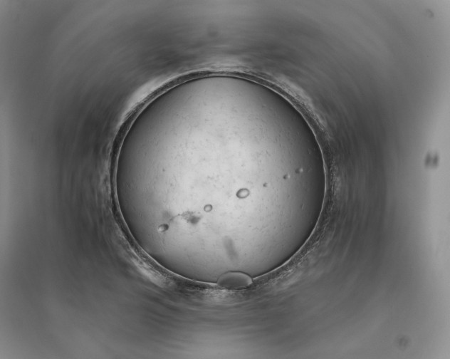 X0000094451176200711291652