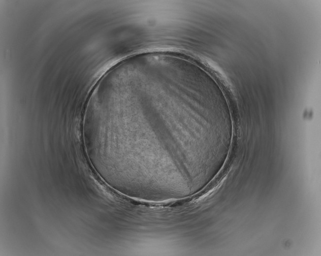 X0000094451177200711291652