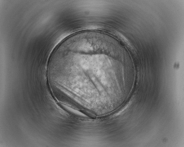 X0000094451178200711291652