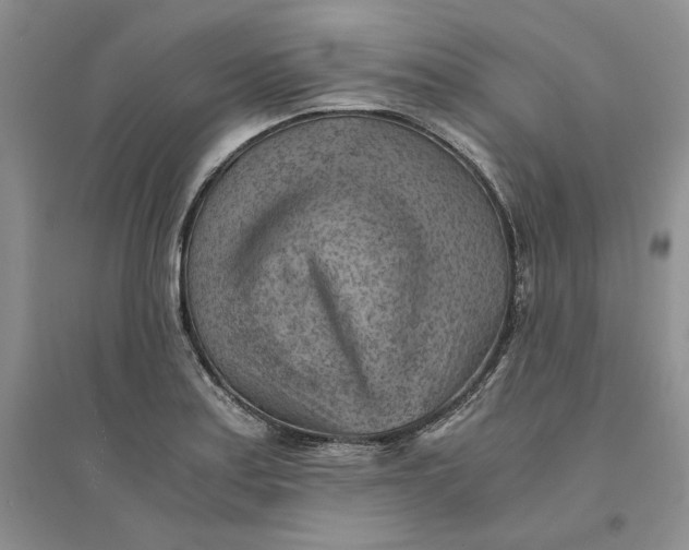 X0000094451179200711291652