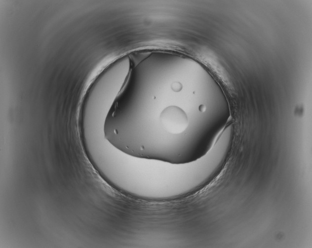 X0000094451180200711291652