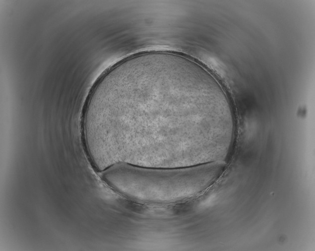 X0000094451181200711291652