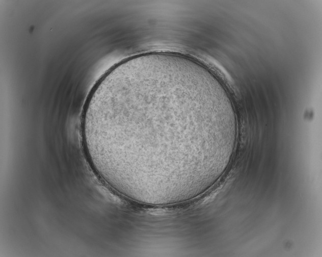 X0000094451182200711291652