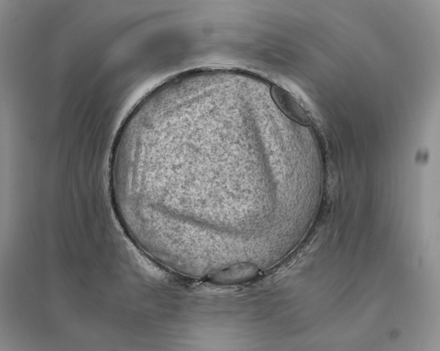 X0000094451183200711291652