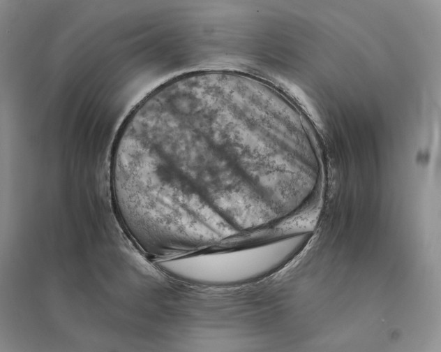 X0000094451184200711291652