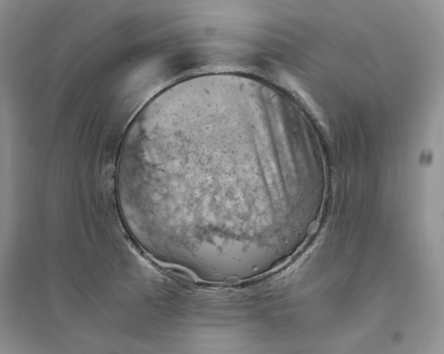 X0000094451185200711291652