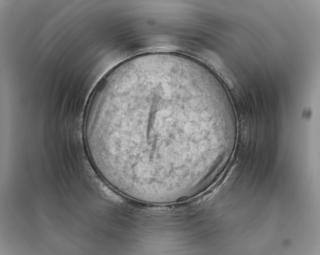 X0000094451186200711291652