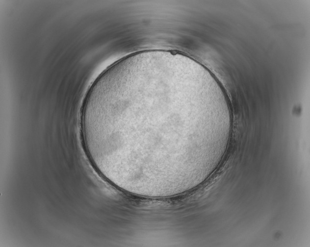 X0000094451187200711291652