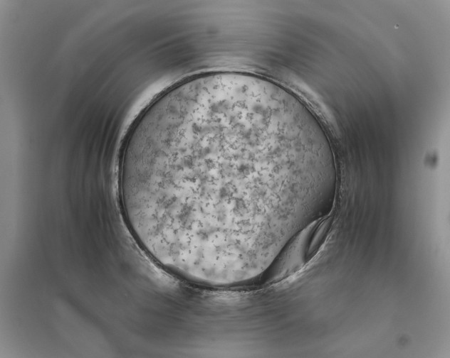 X0000094451188200711291652