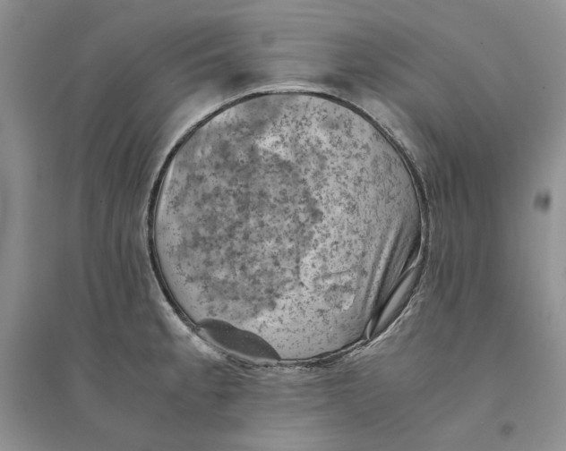 X0000094451189200711291652