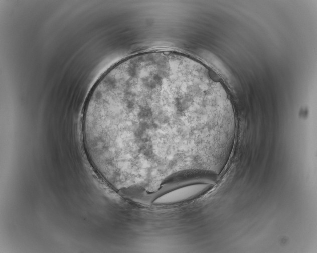 X0000094451190200711291652