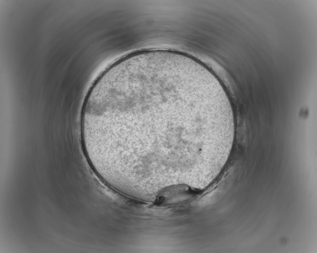 X0000094451191200711291652