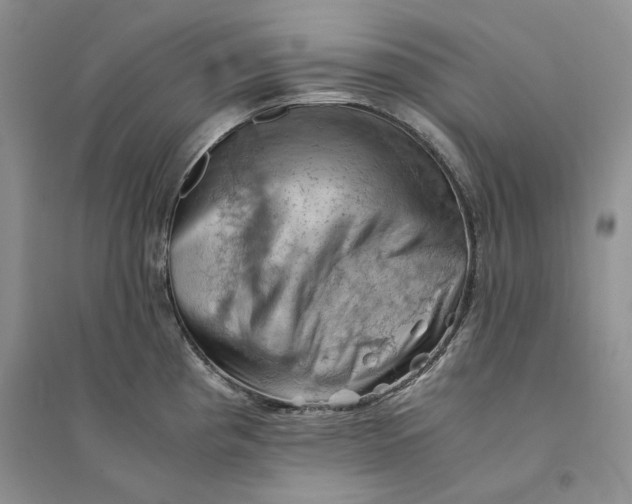 X0000094451193200711291652