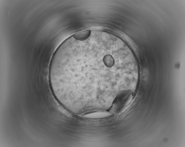 X0000094451194200711291652