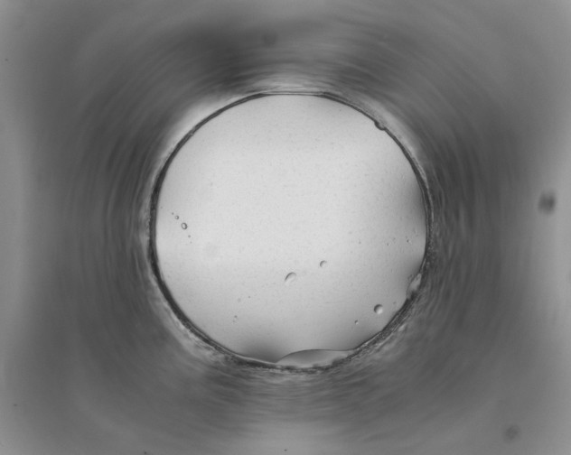 X0000094451195200711291652