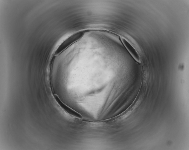 X0000094451196200711291652