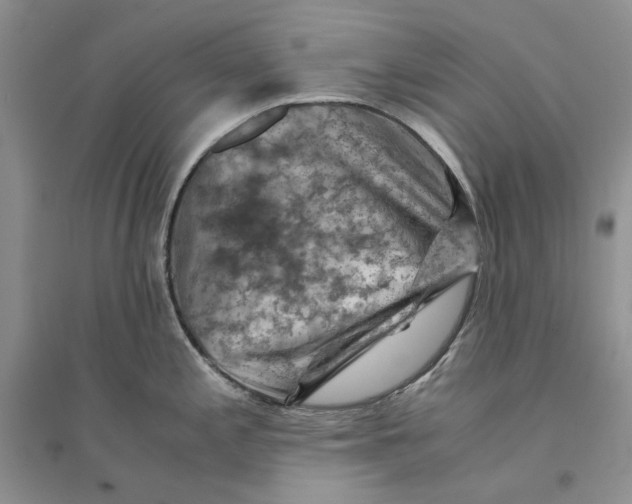 X0000094451197200711291652