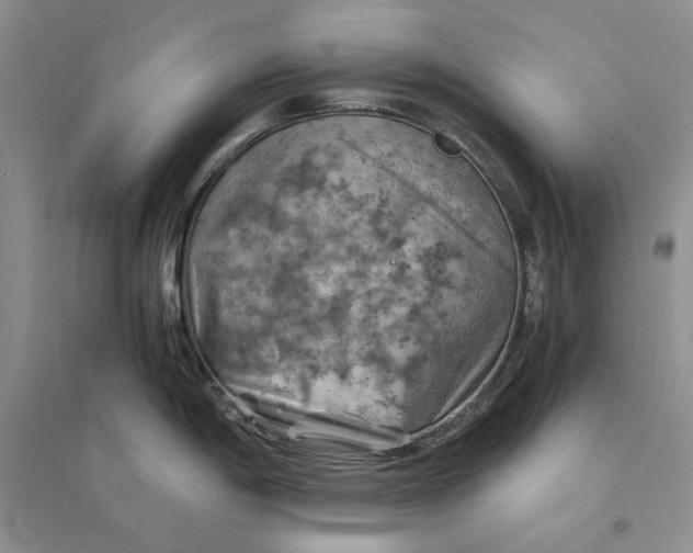 X0000094451198200711291652