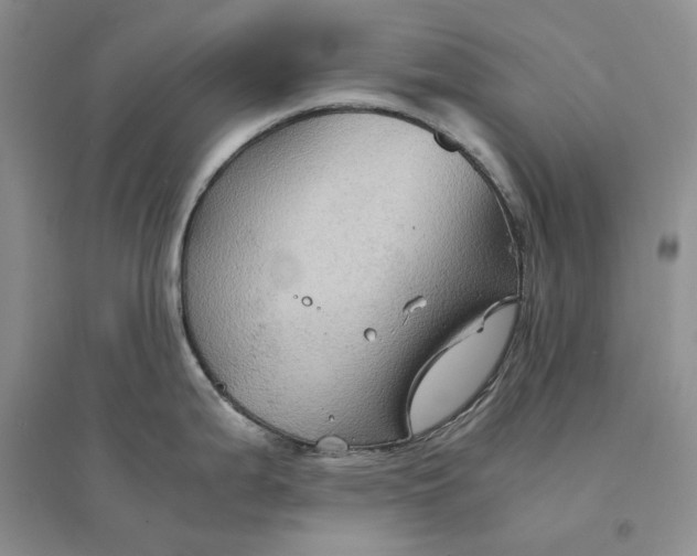 X0000094451199200711291652