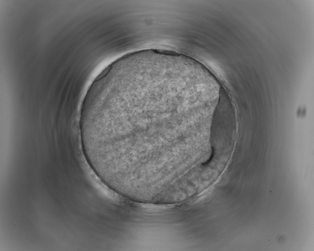 X0000094451200200711291652