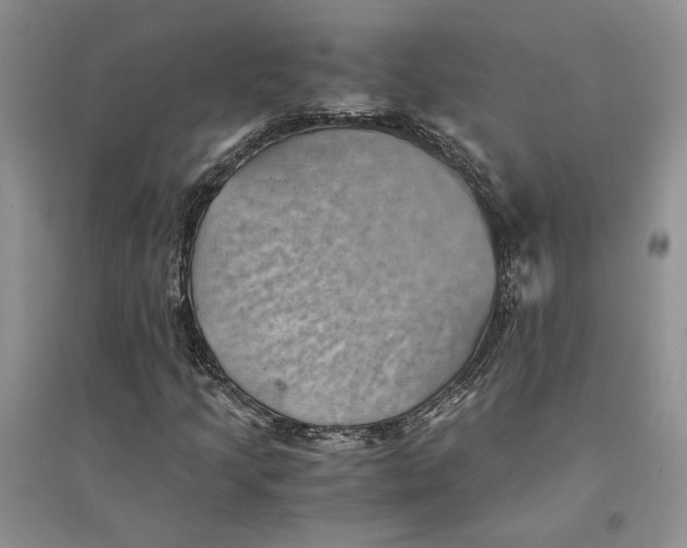 X0000094451205200711291651