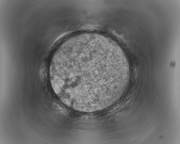 X0000094451206200711291651