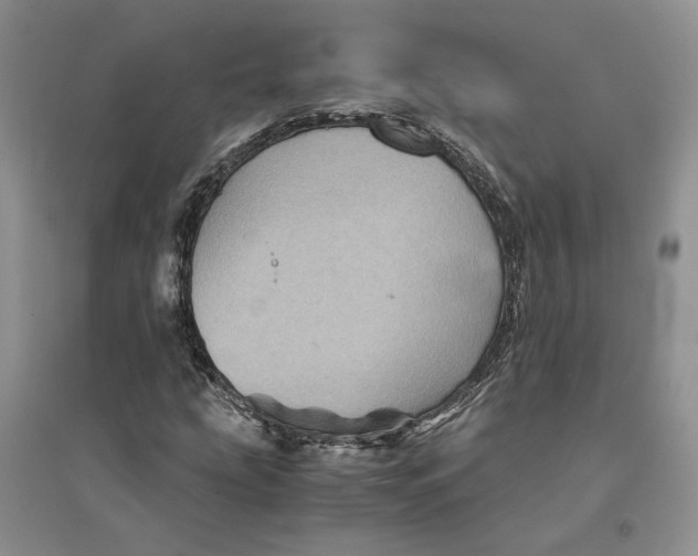 X0000094451207200711291651