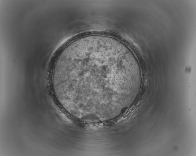 X0000094451208200711291651