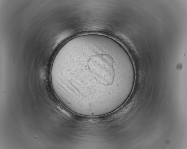 X0000094451210200711291651