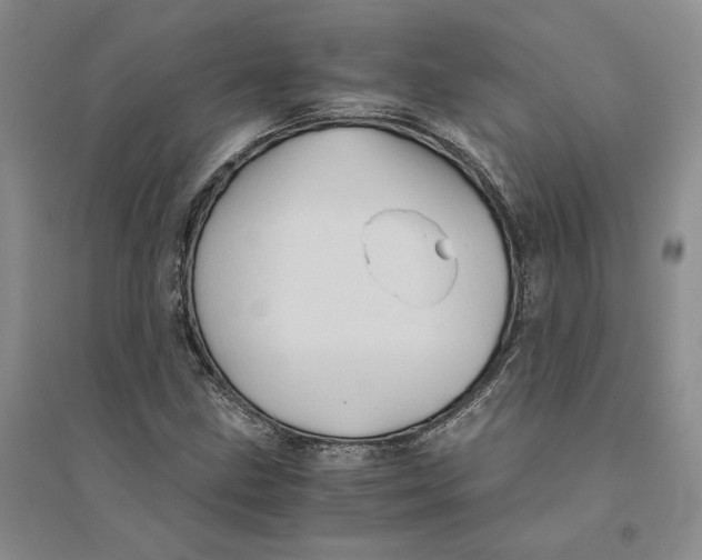 X0000094451211200711291651