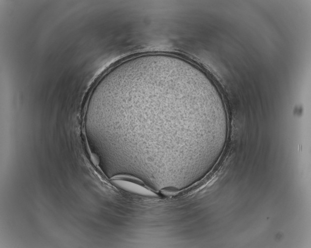 X0000094451212200711291651