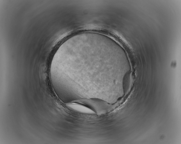 X0000094451213200711291651