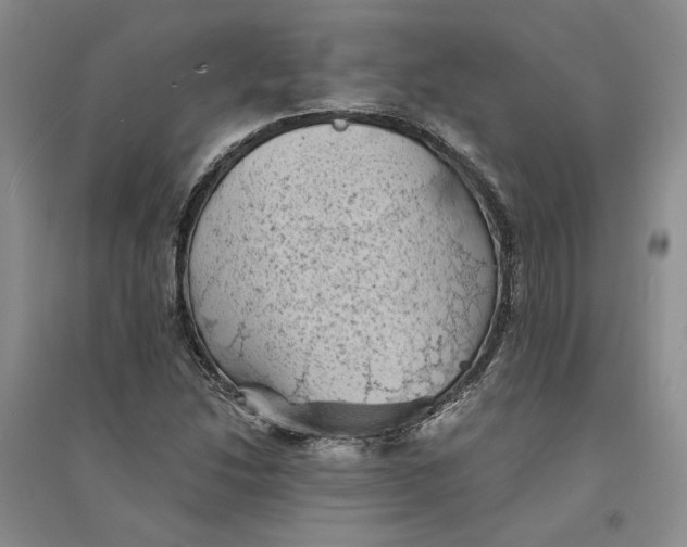 X0000094451214200711291651