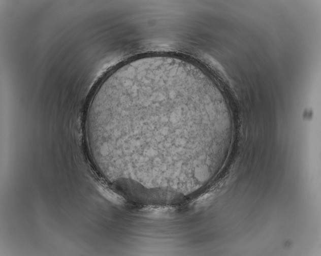 X0000094451218200711291651