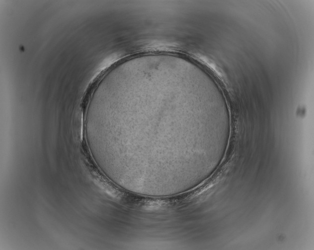 X0000094451219200711291651