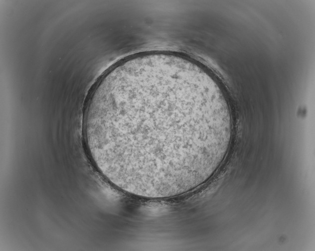 X0000094451220200711291651