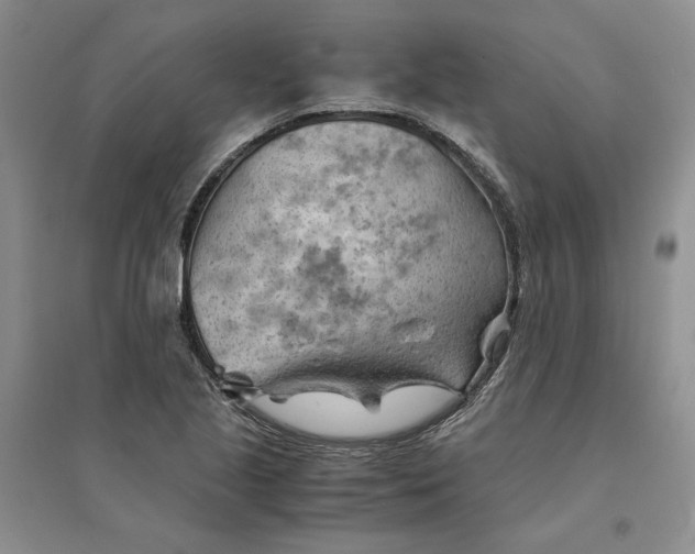 X0000094451221200711291651