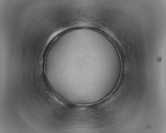 X0000094451222200711291651