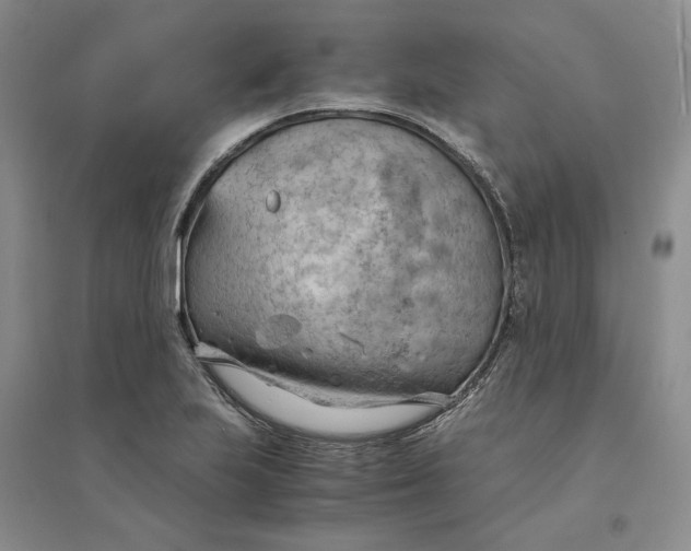 X0000094451223200711291651