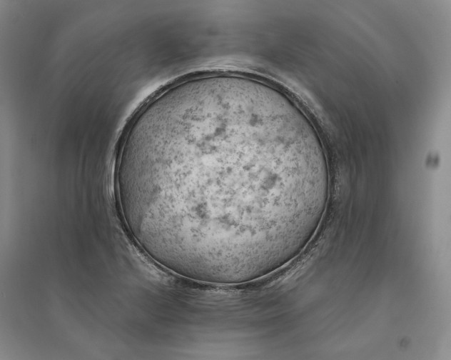 X0000094451224200711291651