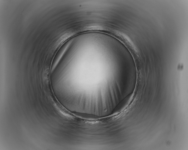 X0000094451225200711291651