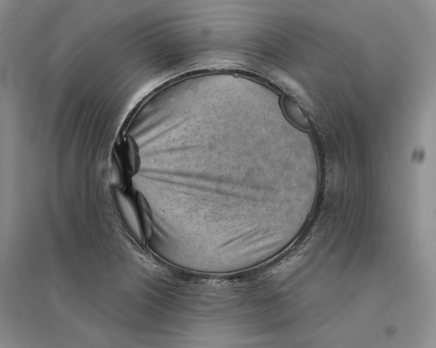 X0000094451226200711291651