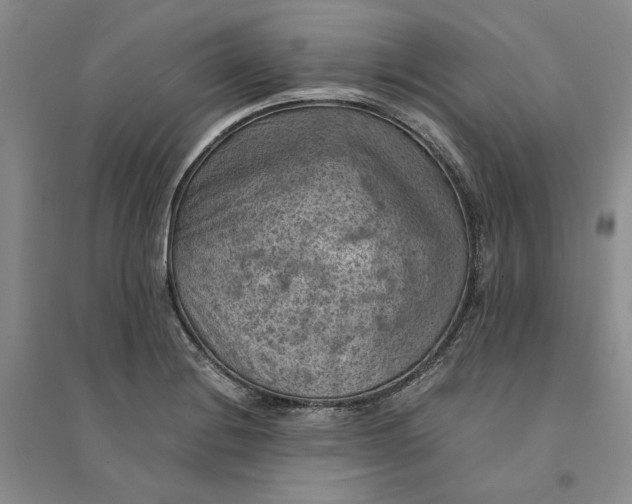 X0000094451228200711291651