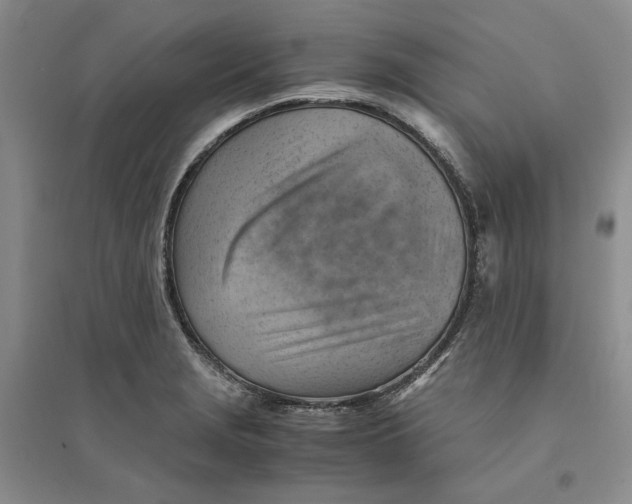 X0000094451229200711291651