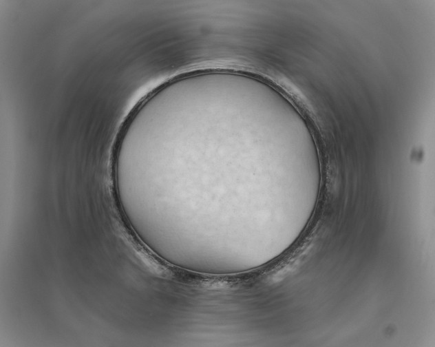 X0000094451230200711291651