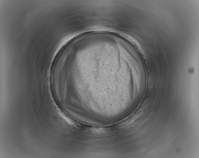 X0000094451231200711291651