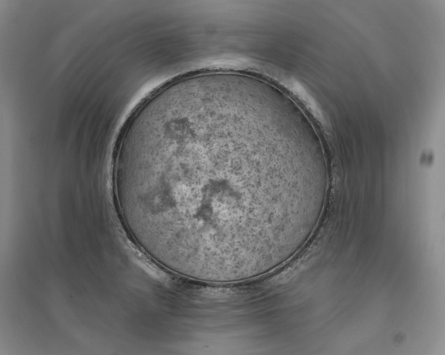 X0000094451232200711291651